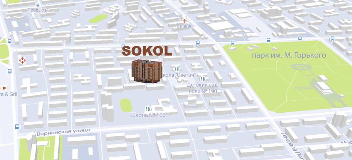 Сокіл