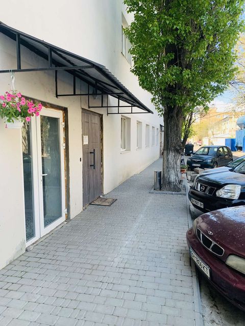 Premises on Bugaivska Street