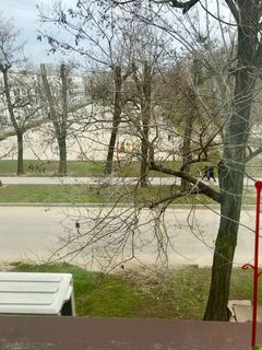 1 кімнатна квартира на вул. Боровського Н.