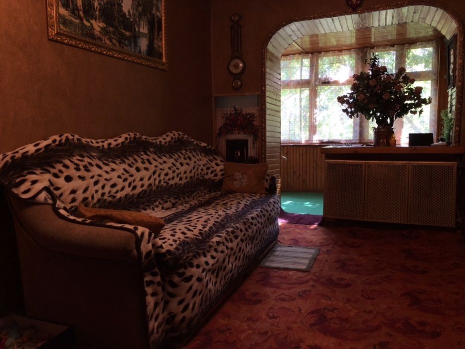 Apartment on Fontanska Road