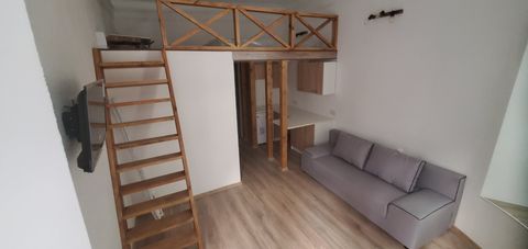 Apartment on Troitska Street
