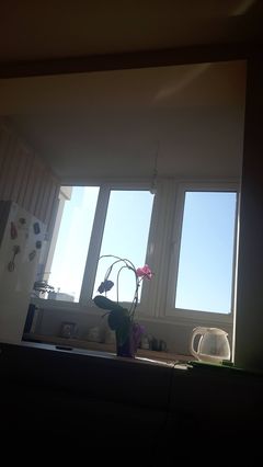 Apartment on Sakharov Street
