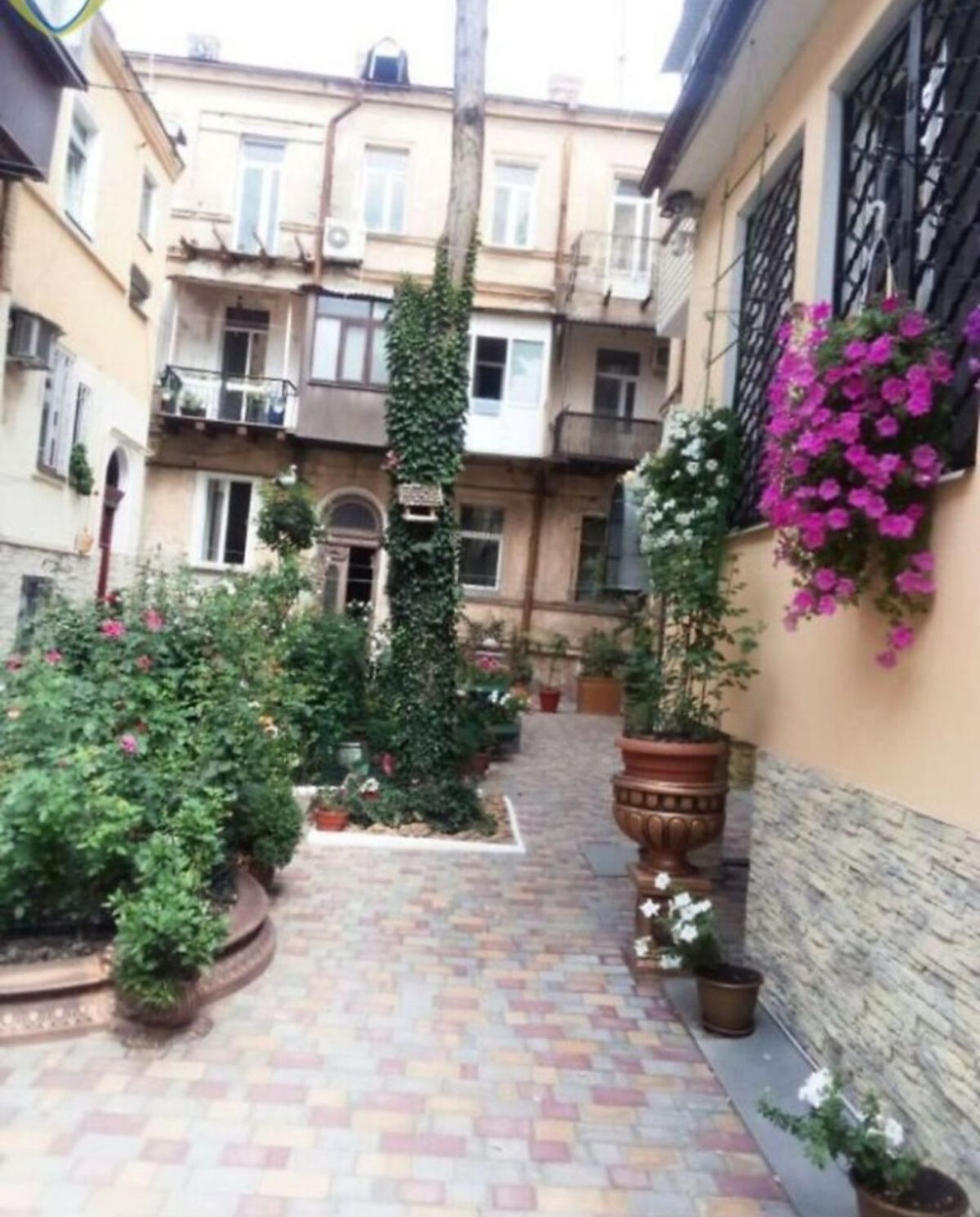 Apartment on Velyka Arnautska Street
