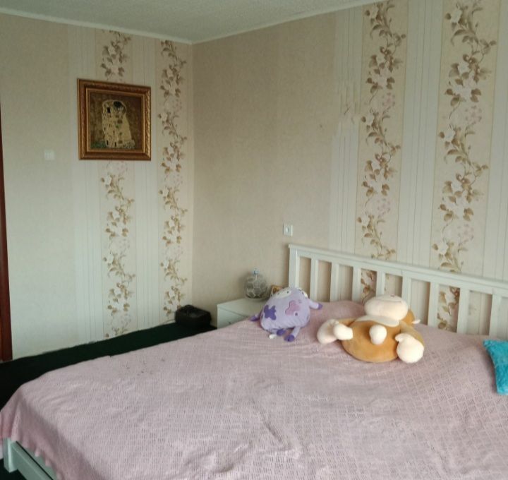 Apartment on Paustovsky Street