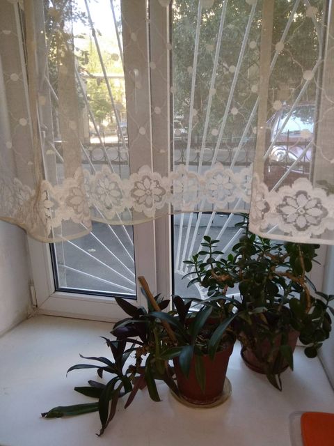 A room in a communal apartment on Staroportofrankivska Street