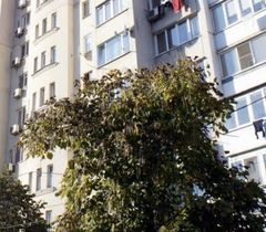 Квартира на Топольова вул.