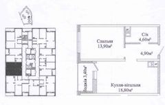 Apartment on Zhabotinsky Street