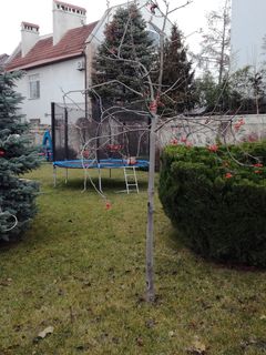 Квартира на Львовская ул.