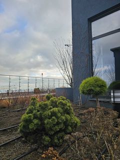 Квартира на Курортний пров.