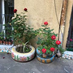 Квартира на Осипова вул.