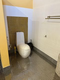 Продам шикарный дом в Совиньон 3