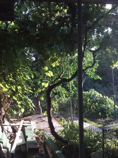 Land plot on Fontanska Road