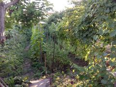 Land plot on Fontanska Road
