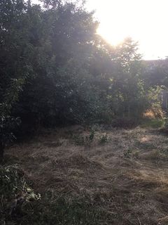 Land plot on Fontanska Road