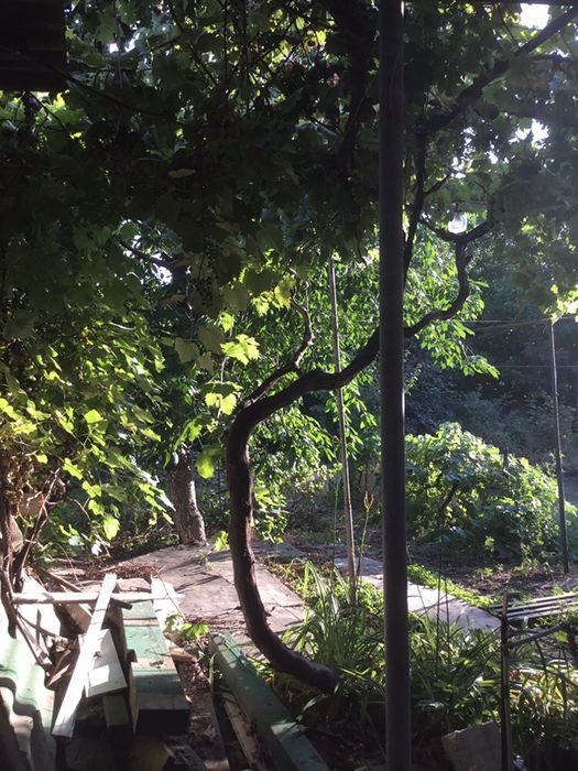 Land plot on Fontanska Road