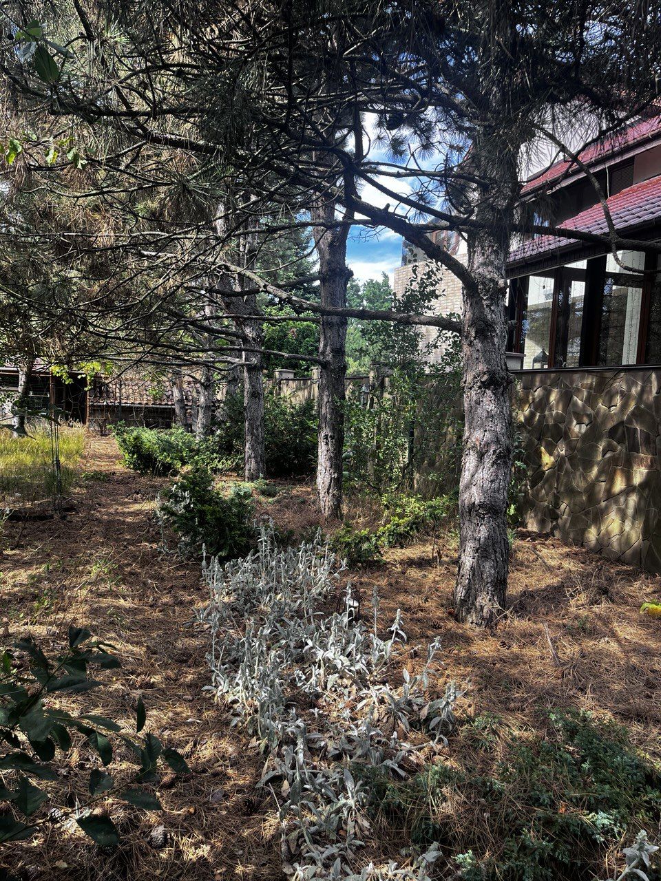 Land for sale in 3 Sovinion