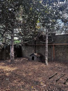 Land for sale in 3 Sovinion