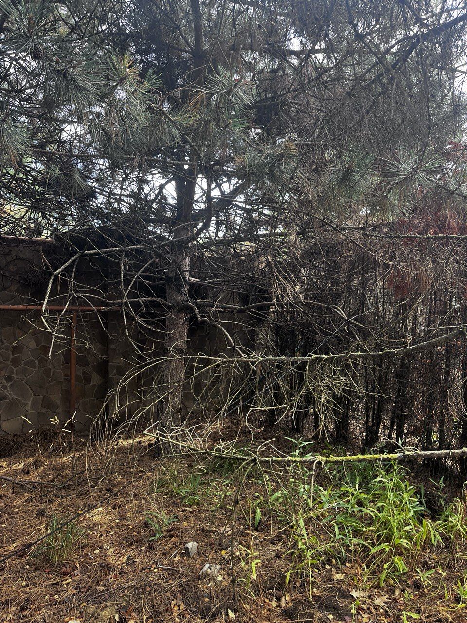 Land for sale in 3 Sovinion