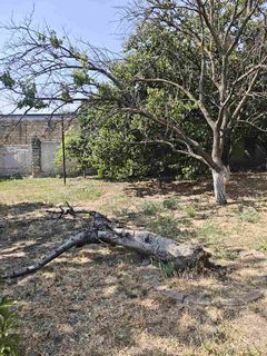 Lot on L. Ginzburg Lane