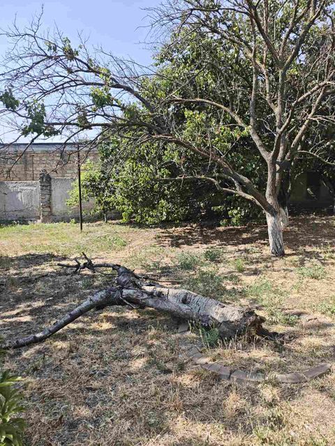 Lot on L. Ginzburg Lane