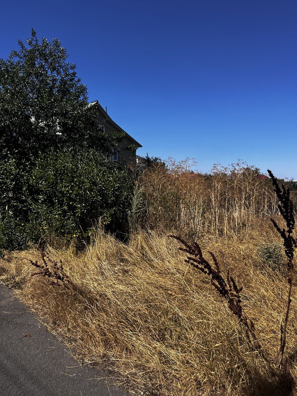 Land for sale for home construction