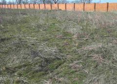 Land plot in Block No. 23, Sovinion